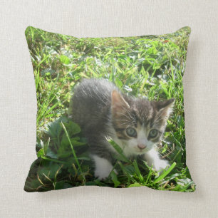 Little Grey Boy Cushion
