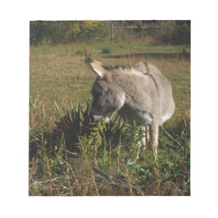 Little grey Donkey w / wildflowers Notepad