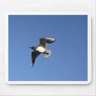 Little Gull Mouse Mat