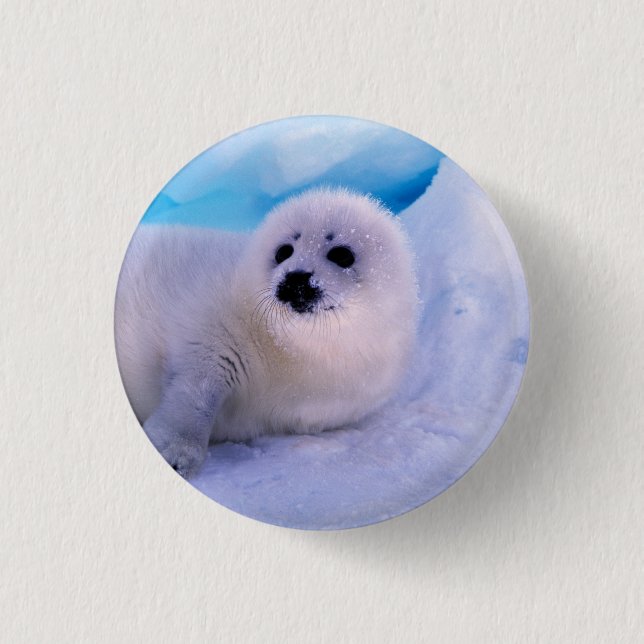 Little Harp Seal Pup Covered in Snowflakes 3 Cm Round Badge (Front)