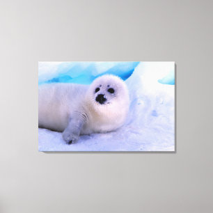 Little Harp Seal Pup Covered in Snowflakes Canvas Print