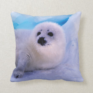 Little Harp Seal Pup Covered in Snowflakes Cushion