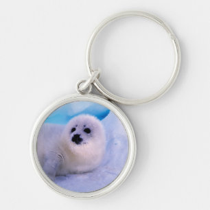 Little Harp Seal Pup Covered in Snowflakes Key Ring