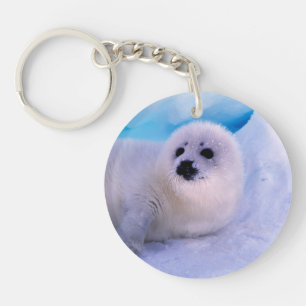 Little Harp Seal Pup Covered in Snowflakes Key Ring