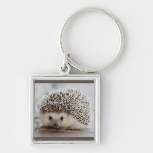 little hedgehog keychain