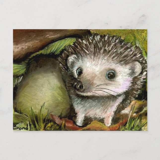Little hedgehog postcard (Front)