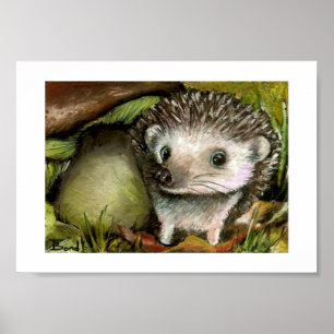 Little hedgehog print