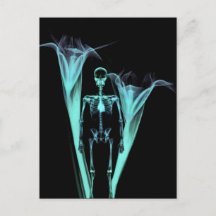 Little Human X-Ray Skeleton & Flowers - Teal Postcard
