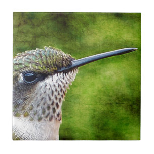 Little Hummer Tile