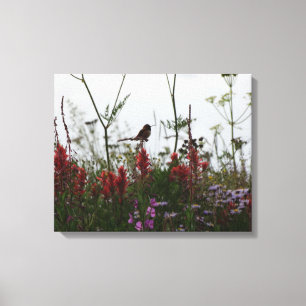 little Hummingbird Canvas Print