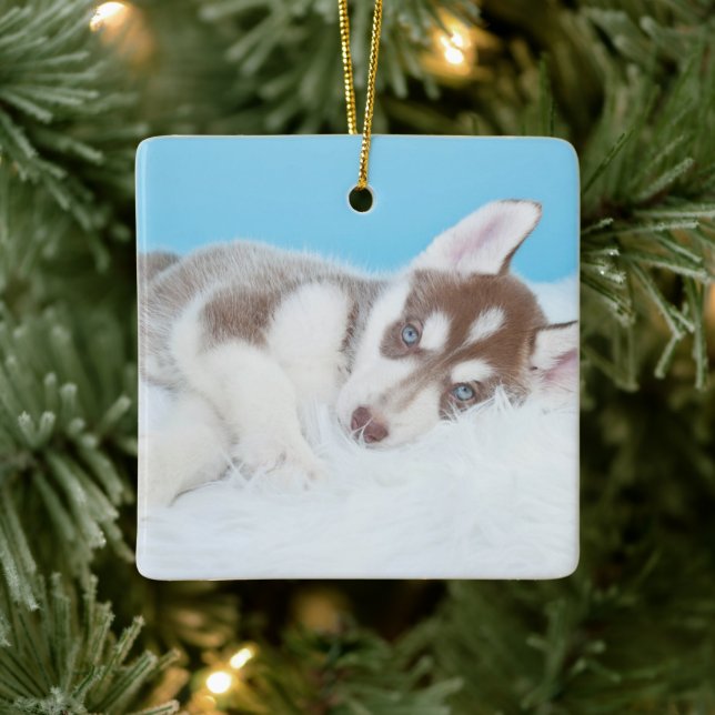 Little Husky Puppy Laying on a Blanket Ceramic Ornament (Tree)