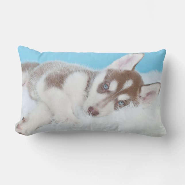 Little Husky Puppy Laying on a Blanket Lumbar Cushion (Front)
