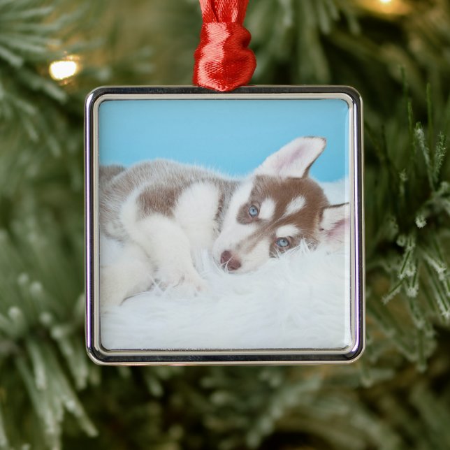 Little Husky Puppy Laying on a Blanket Metal Tree Decoration (Tree)