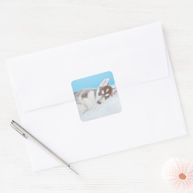 Little Husky Puppy Laying on a Blanket Square Sticker (Envelope)