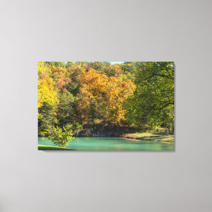 Little Indian Goldie Canvas Print