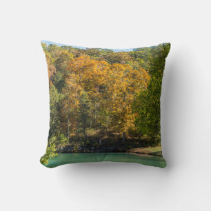 Little Indian Goldie Cushion
