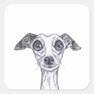 LITTLE ITALIAN GREYHOUND g869 Square Sticker