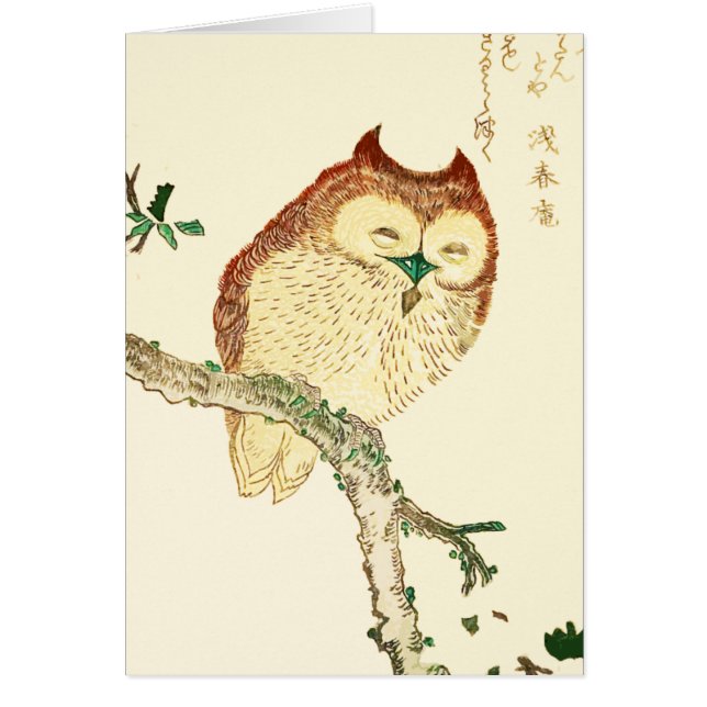 Little Japanese owl (Front)