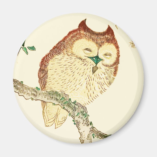Little Japanese owl Magnet (Front)