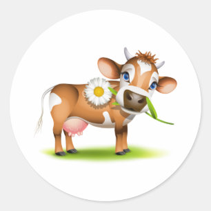 Little Jersey cow eating daisy Classic Round Sticker