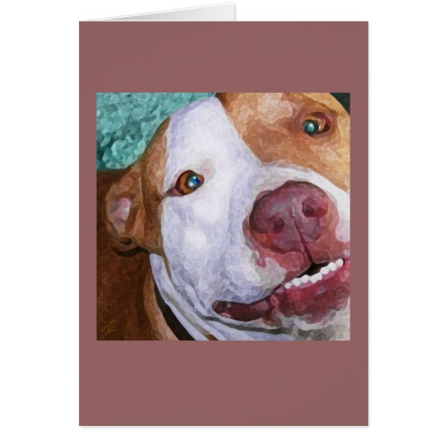 Little Johnny Sparkles (Front)