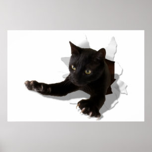 little jumping panther poster