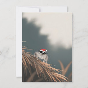 Little Jumping Spider on a Christmas Tree Cards