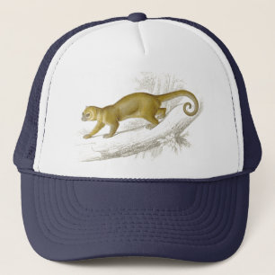 Little kinkajou honey bear pet vintage drawing trucker hat