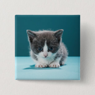 Little Kitten 15 Cm Square Badge