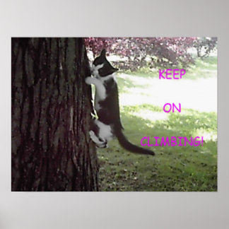 Little Kitten Big Tree Poster