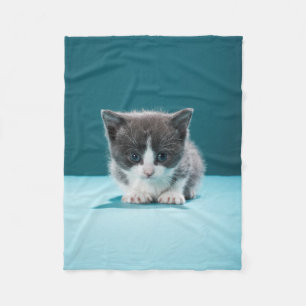 Little Kitten Fleece Blanket