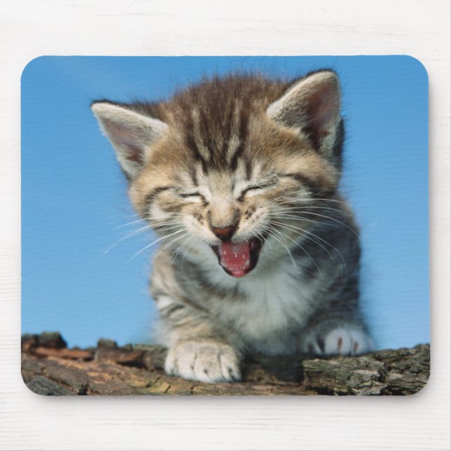 Little Kitten in a Tree Mouse Mat (Front)