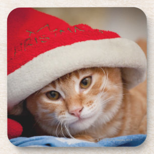 Little Kitten in Red Christmas Hat Coaster