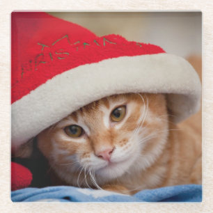 Little Kitten in Red Christmas Hat Glass Coaster