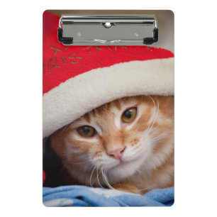 Little Kitten in Red Christmas Hat Mini Clipboard