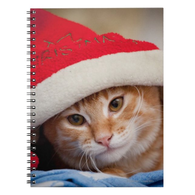 Little Kitten in Red Christmas Hat Notebook (Front)