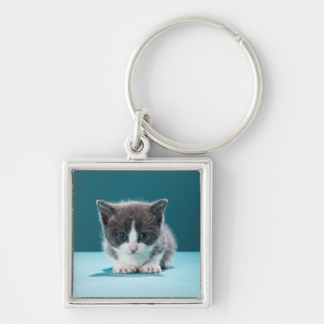 Little Kitten Key Ring (Front)