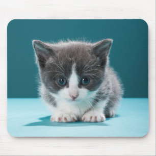 Little Kitten Mouse Mat