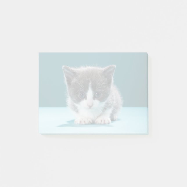 Little Kitten Post-it Notes (Front)