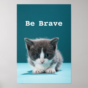 Little Kitten Poster
