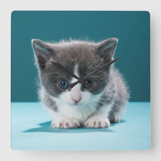 Little Kitten Square Wall Clock (Front)