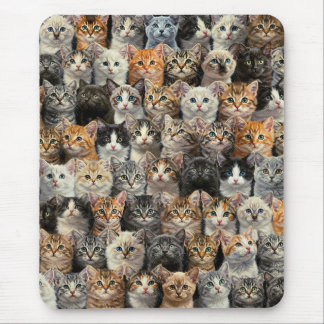 Little Kittens Parade Mouse Mat