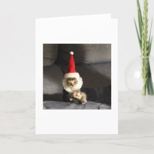 Little Kittie Holiday Card