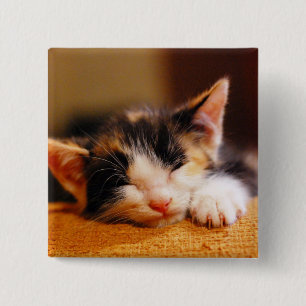 Little Kitty Sleeping 15 Cm Square Badge