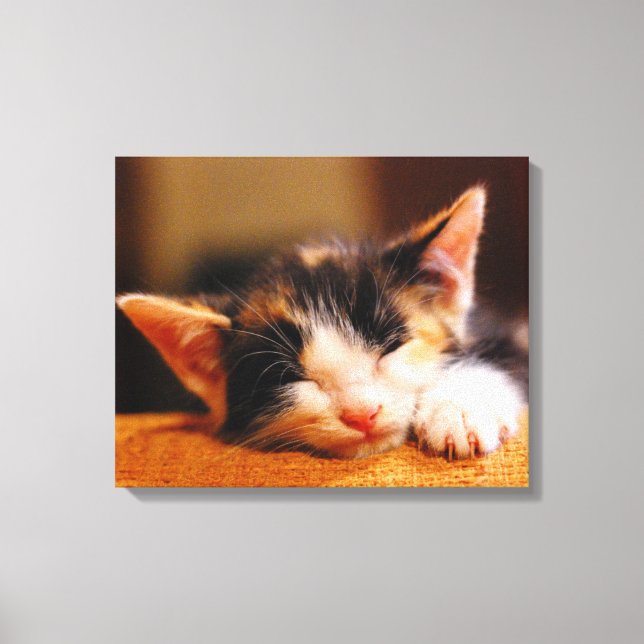 Little Kitty Sleeping Canvas Print (Front)