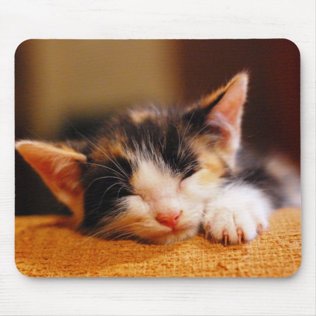 Little Kitty Sleeping Mouse Mat (Front)