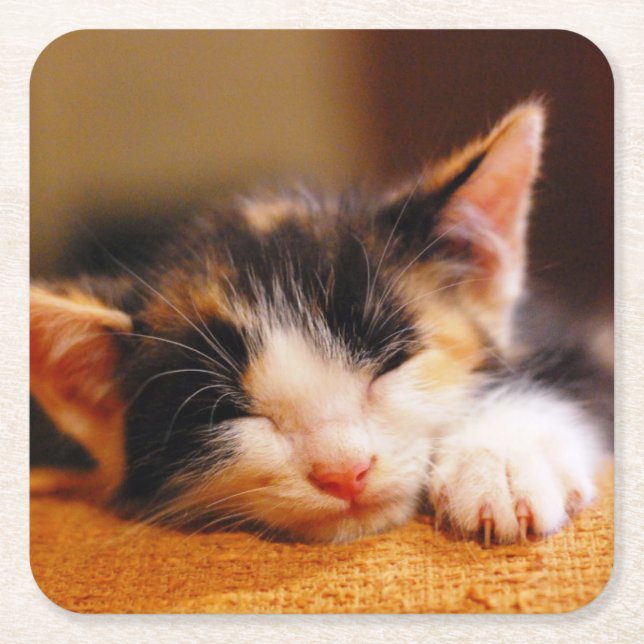 Little Kitty Sleeping Square Paper Coaster (Front)