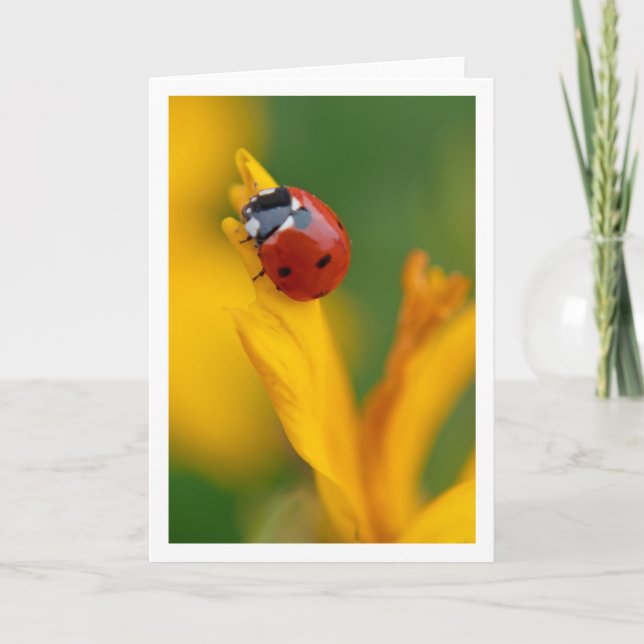 Little Lady on a Flower Note Card (Front)