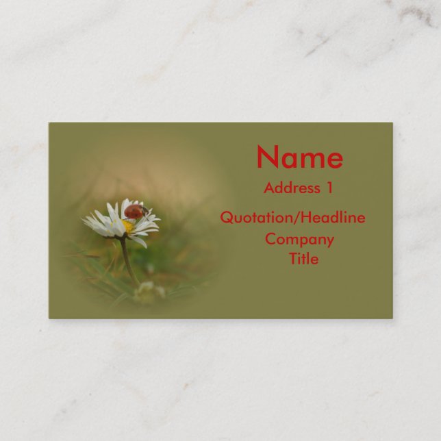 Little ladybug business card (Front)