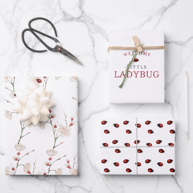 Little Ladybug Pattern Boho  Wrapping Paper Sheet (Front)